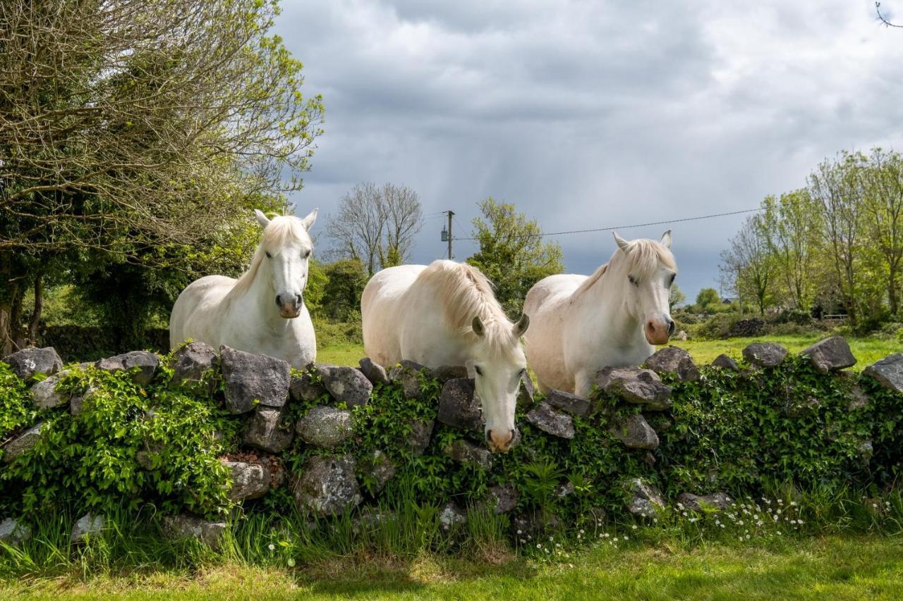 Luxury Apartment, Bed And Breakfast Galway Bagian luar foto